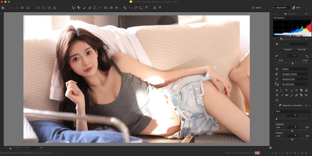 图片[1]-「照片后期处理工具」SILKYPIX Developer Studio Pro 11E  v11.0 激活版-Mac软件免费下载-Mac良选