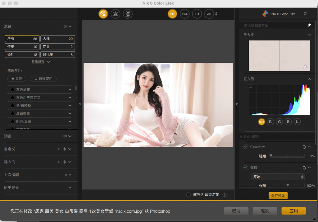 图片[2]-Nik Collection 6中文激活版