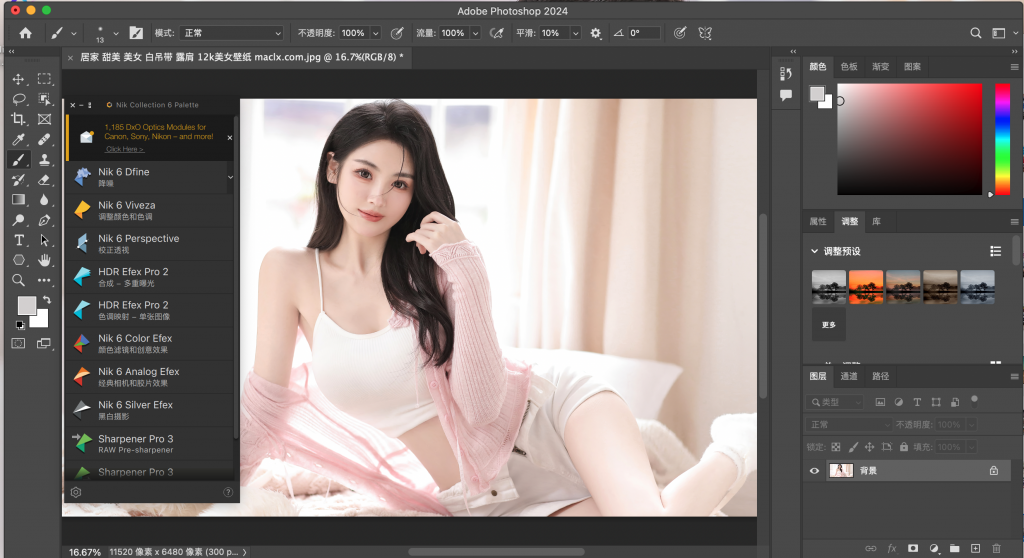 图片[3]-Nik Collection 6中文激活版