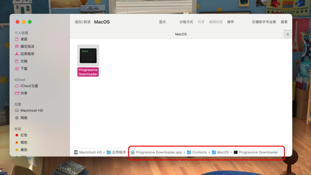 图片[4]-“无法确认开发者身份”、“损坏”等问题的解决方法-Mac软件免费下载-Mac良选