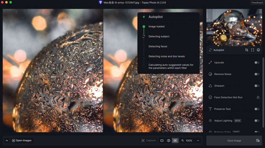 图片[1]-Topaz Photo AI v2.0.6 英文激活版「AI驱动图像质量增强&锐化&消除噪点」-Mac软件免费下载-Mac良选
