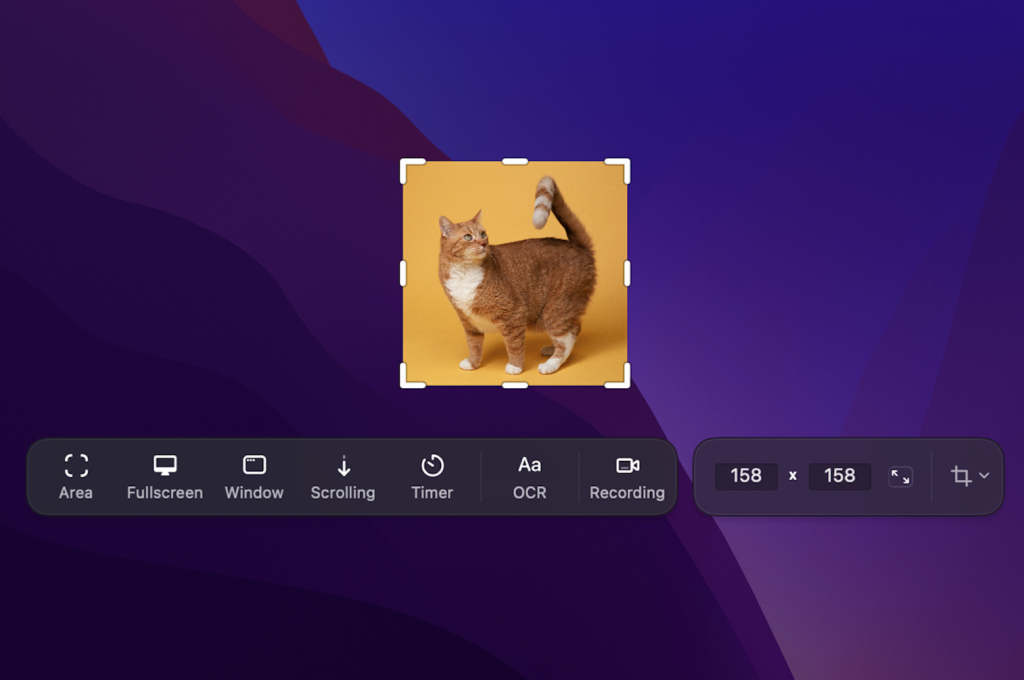 图片[1]-CleanShot X for mac v4.8.3  英文版「录屏截图标注工具」-Mac软件免费下载-Mac良选