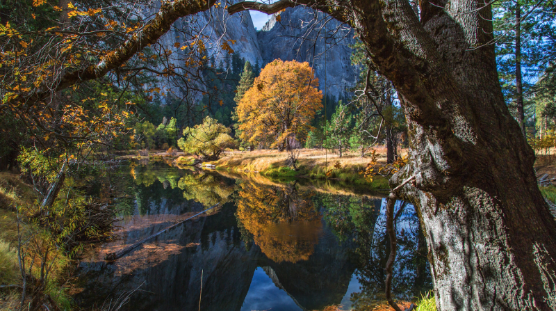 5k壁纸-树林-山脉高清壁纸-风景壁纸5120x2880-Mac软件免费下载-Mac良选