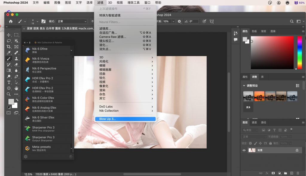图片[2]-Alien Skin Blow Up 激活版