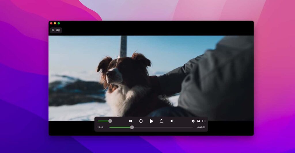 图片[3]-Infuse Pro v7.6.4.4633 中文破解版 超强全能视频播放器-Mac软件免费下载-Mac良选