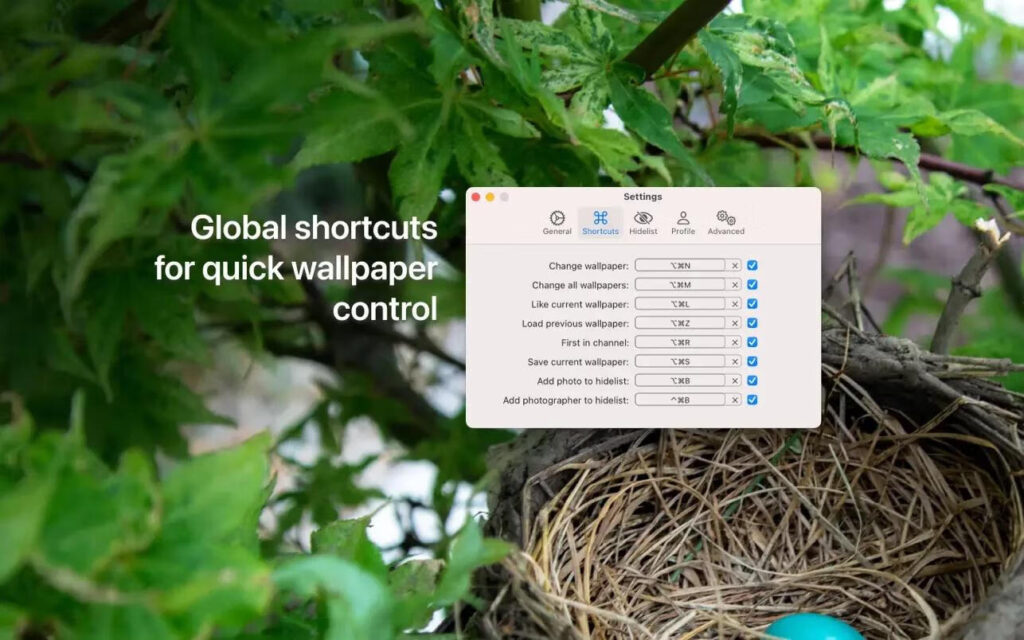 图片[3]-Irvue for Mac 2023.2免激活版mac壁纸软件-Mac软件免费下载-Mac良选