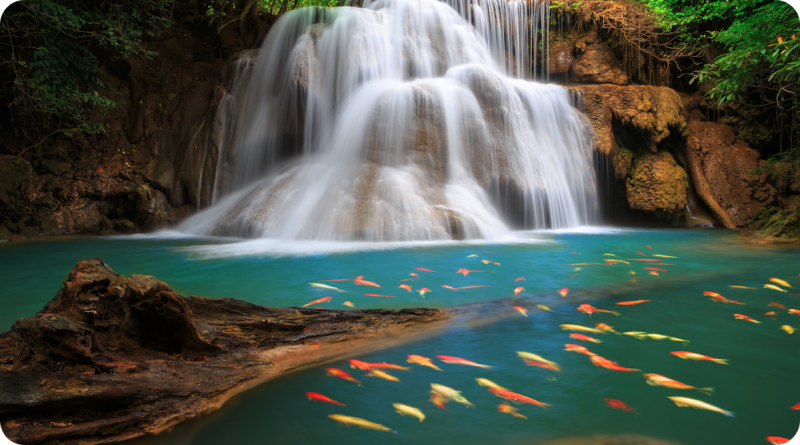 瀑布-5120x2880-5k壁纸风景壁纸-mac桌面壁纸-Mac软件免费下载-Mac良选