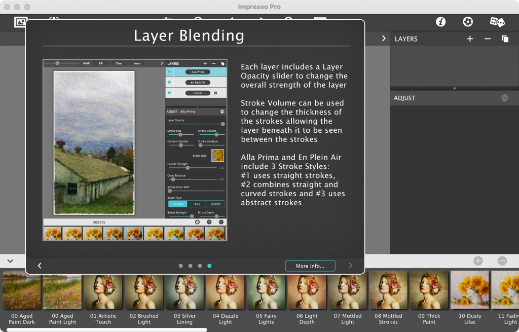 图片[3]-JixiPix Artista Impresso Pro for mac v1.8.26免激活版「印象派油画滤镜效果软件」-Mac软件免费下载-Mac良选
