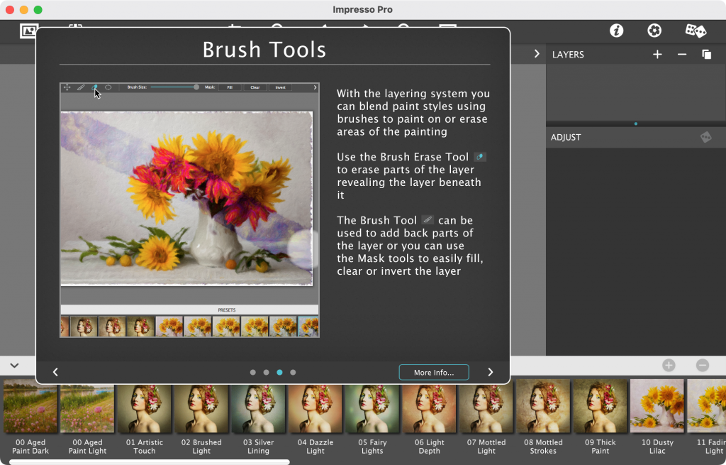 图片[2]-JixiPix Artista Impresso Pro for mac v1.8.26免激活版「印象派油画滤镜效果软件」-Mac软件免费下载-Mac良选