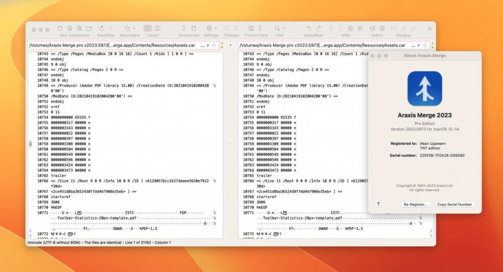 图片[1]-Araxis Merge pro for mac v2024.6001激活版「文件对比合并工具」-Mac软件免费下载-Mac良选