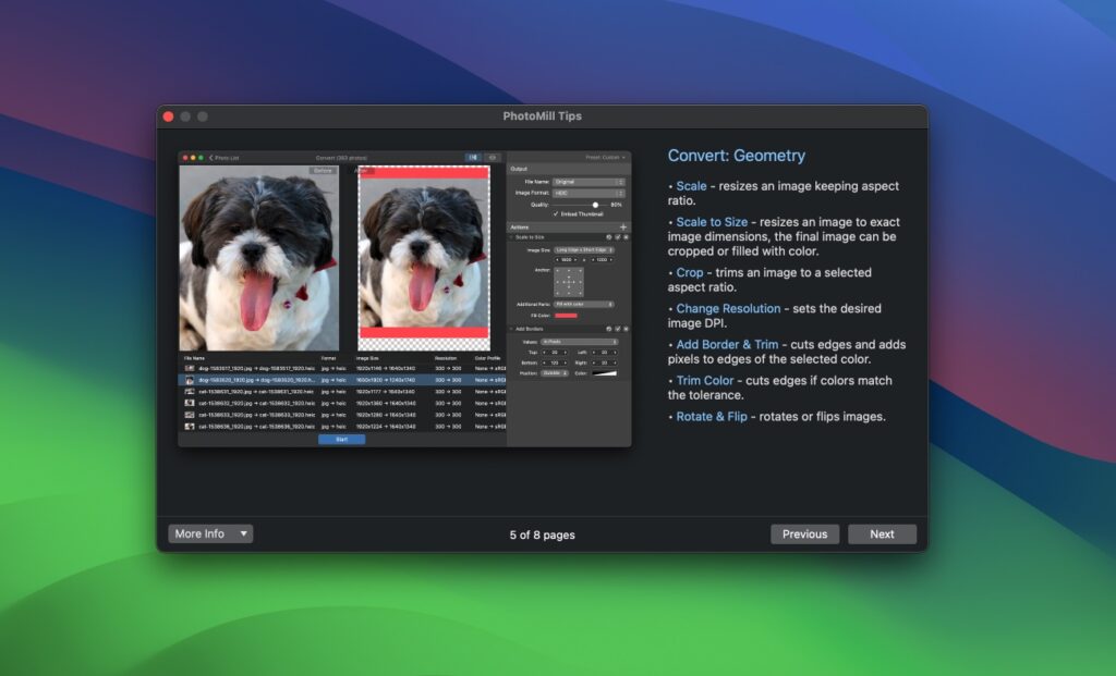 图片[6]-PhotoMill X for Mac v3.1.1 永久激活版 图片批处理工具-Mac软件免费下载-Mac良选