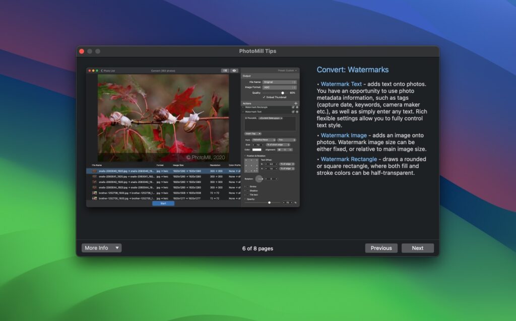 图片[7]-PhotoMill X for Mac v3.1.1 永久激活版 图片批处理工具-Mac软件免费下载-Mac良选