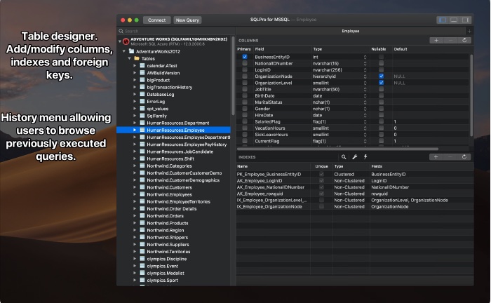图片[3]-SQLPro for MSSQL for Mac v2024.73 免激活版 MSSQL数据库客户端-Mac软件免费下载-Mac良选