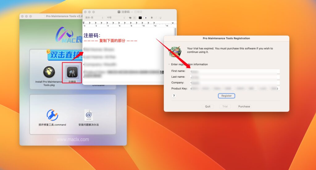 图片[3]-Pro Maintenance Tools for mac v2.4.4激活版 专业维护工具-Mac软件免费下载-Mac良选