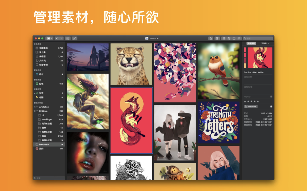 图片[3]-Picsee for Mac v1.7.5 中文激活版 最好的图片管理查看工具-Mac软件免费下载-Mac良选