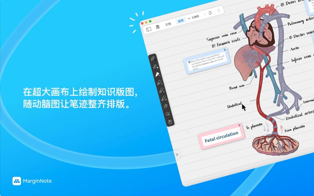图片[4]-MarginNote 4  v4.1.19 破解版 – 深度学习的笔记与思维导图工具-Mac软件免费下载-Mac良选