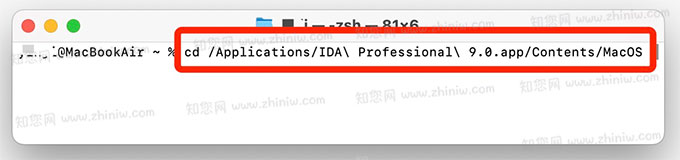 图片[2]-IDA Professional for mac v9.0.241217 RC1激活版 反汇编逆向神器-Mac软件免费下载-Mac良选