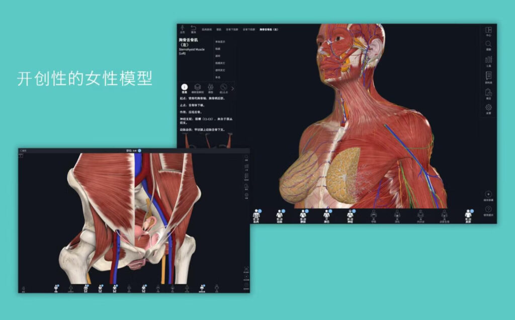 图片[2]-Complete Anatomy for Mac v11.0 3D人体解刨图谱学习工具-Mac软件免费下载-Mac良选