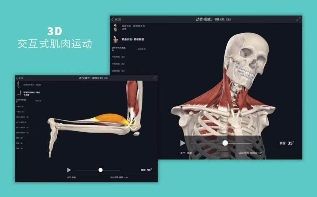 图片[3]-Complete Anatomy for Mac v11.0 3D人体解刨图谱学习工具-Mac软件免费下载-Mac良选