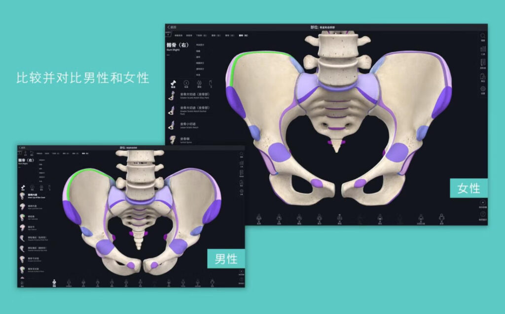 图片[4]-Complete Anatomy for Mac v11.0 3D人体解刨图谱学习工具-Mac软件免费下载-Mac良选