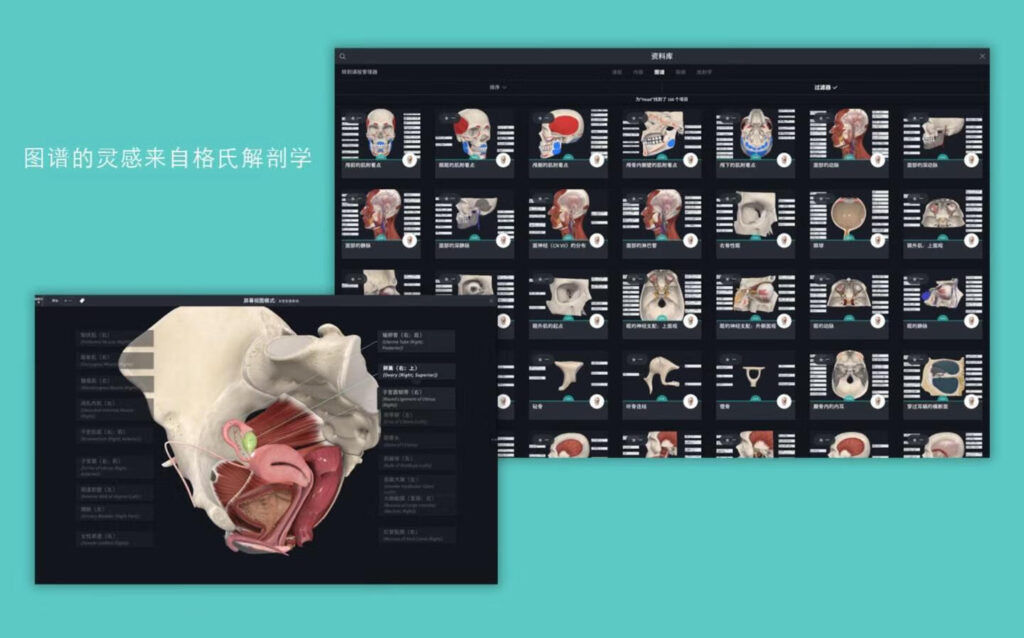 图片[5]-Complete Anatomy for Mac v11.0 3D人体解刨图谱学习工具-Mac软件免费下载-Mac良选