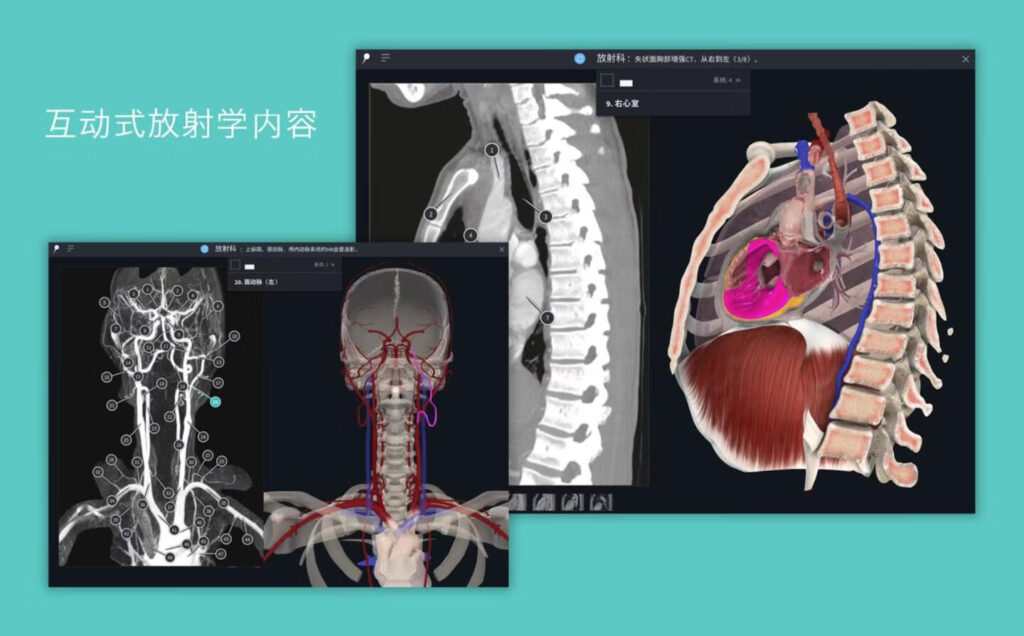 图片[6]-Complete Anatomy for Mac v11.0 3D人体解刨图谱学习工具-Mac软件免费下载-Mac良选