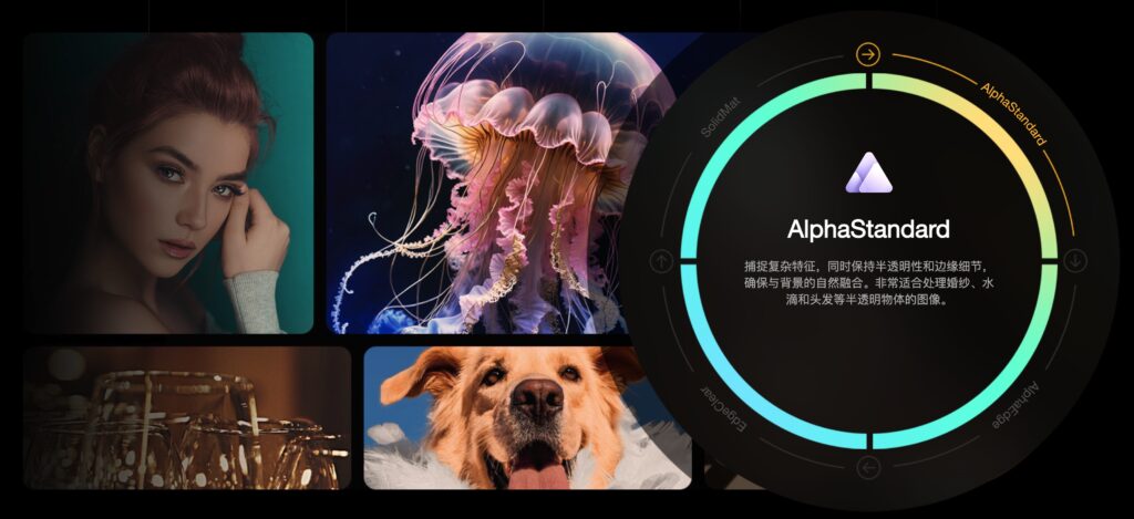图片[5]-Aiarty Image Matting for Mac v2.5 激活版 AI图像抠图工具-Mac软件免费下载-Mac良选