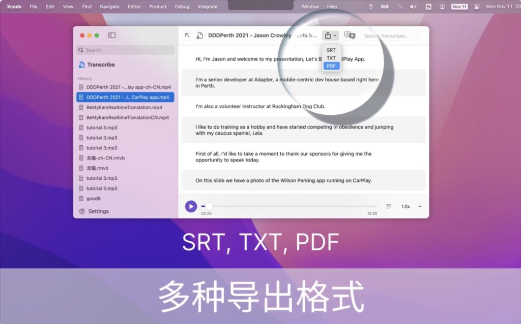 图片[5]-YPlayer v9.10 破解版  AI实时翻译音视频播放器-Mac软件免费下载-Mac良选