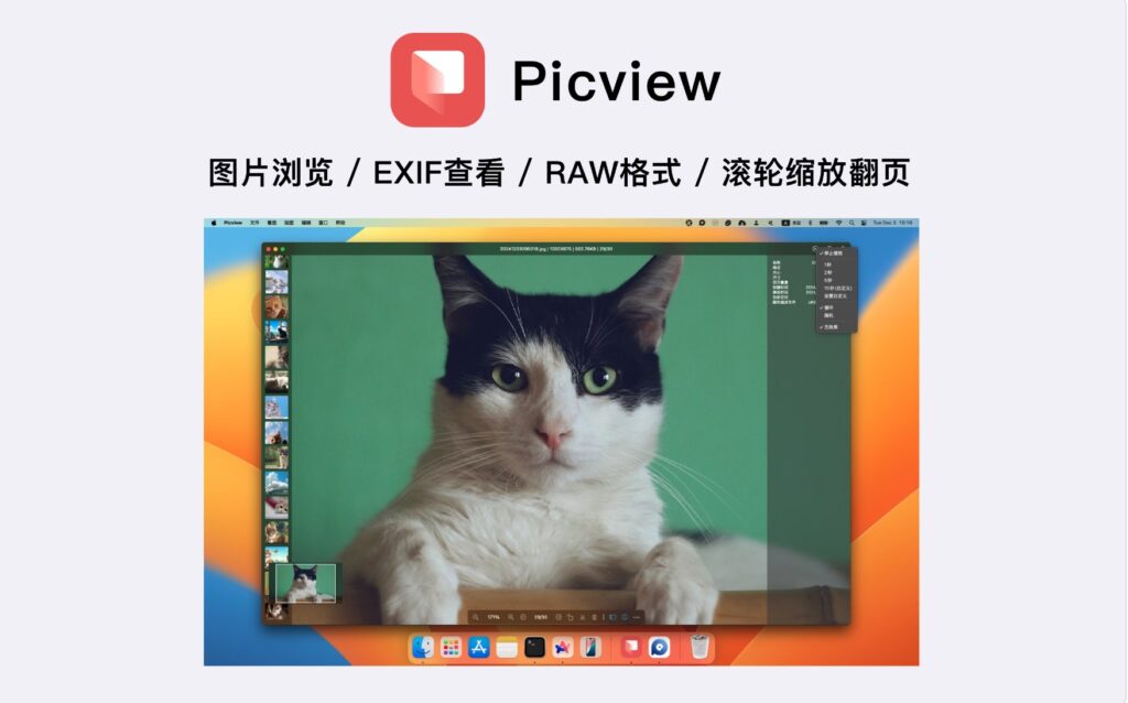 图片[1]-Picview v1.4.5 破解版 图片查看工具-Mac软件免费下载-Mac良选