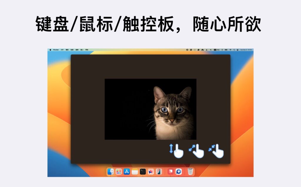 图片[3]-Picview v1.4.5 破解版 图片查看工具-Mac软件免费下载-Mac良选