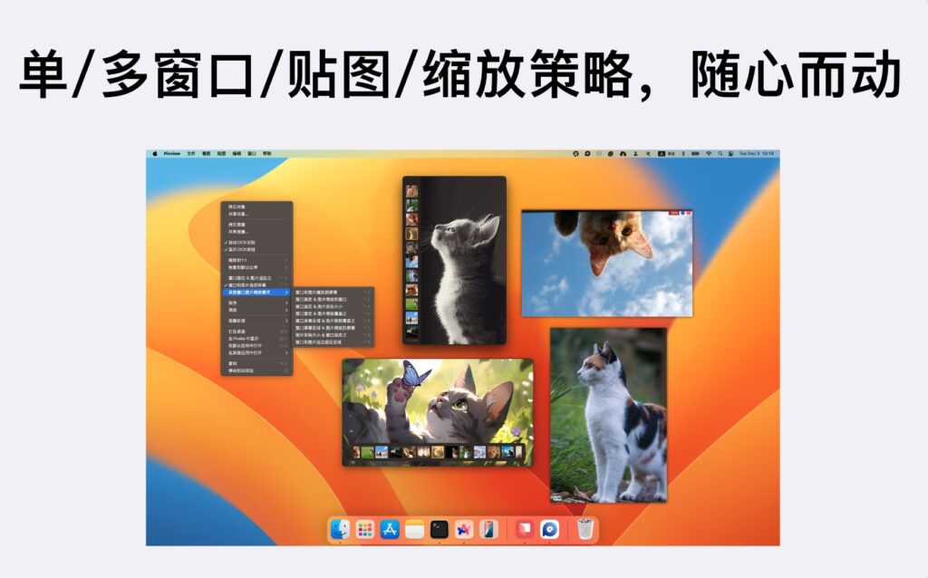 图片[4]-Picview v1.4.5 破解版 图片查看工具-Mac软件免费下载-Mac良选
