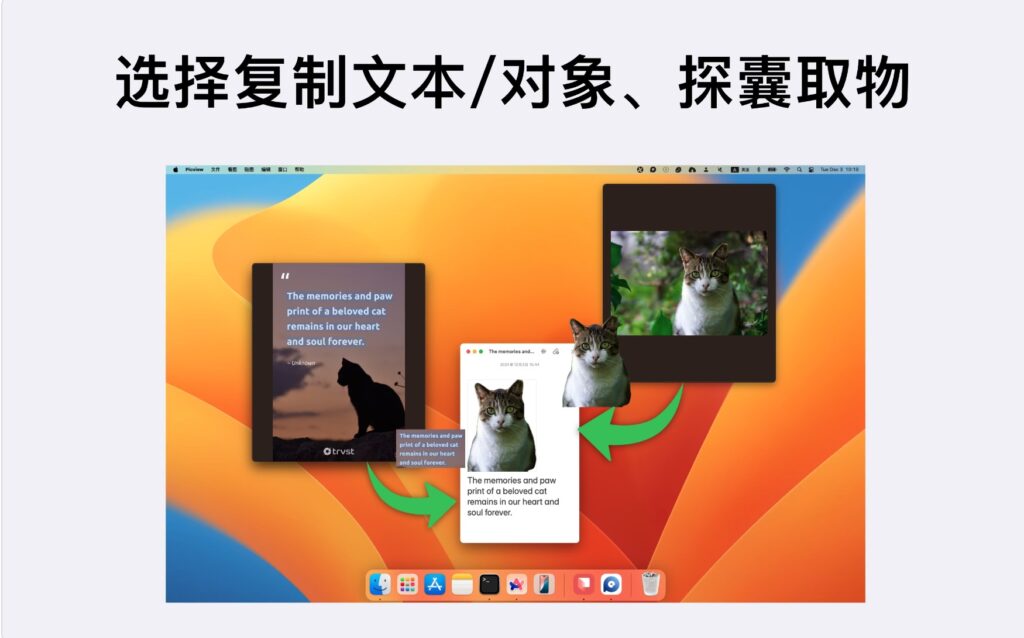 图片[6]-Picview v1.4.5 破解版 图片查看工具-Mac软件免费下载-Mac良选