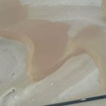 sherpa-Mac软件免费下载-Mac良选