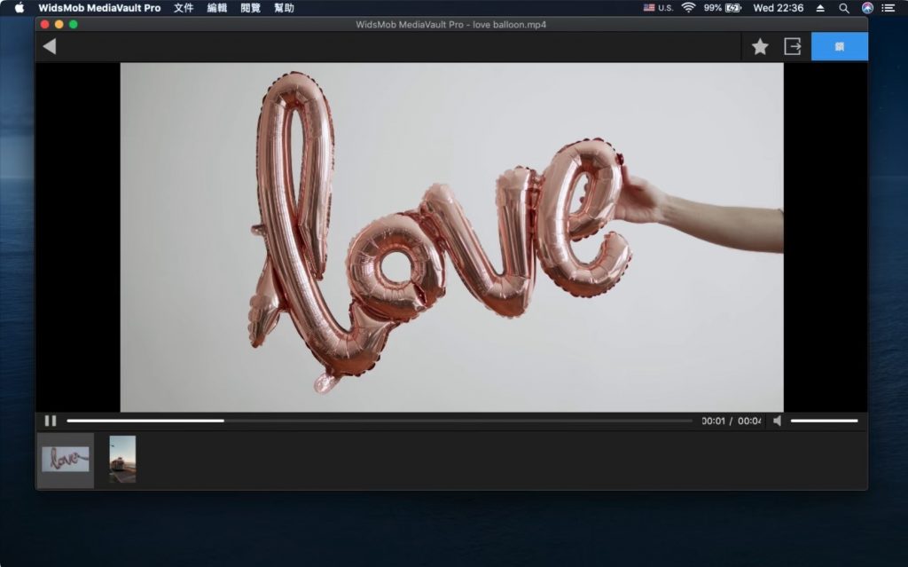 图片[3]-WidsMob MediaVault Pro for mac v1.9.96 照片视频加密工具-Mac软件免费下载-Mac良选