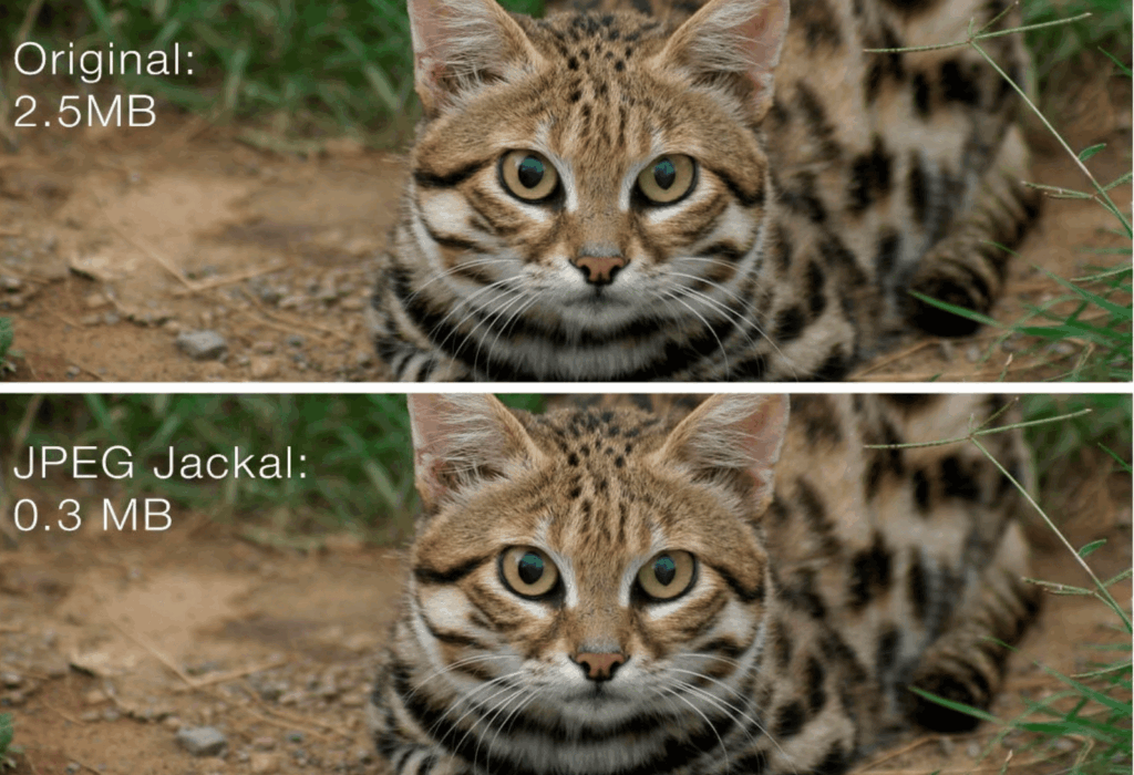 图片[2]-JPEG Jackal for Mac v3.1.0激活版 mac图片压缩软件-Mac软件免费下载-Mac良选