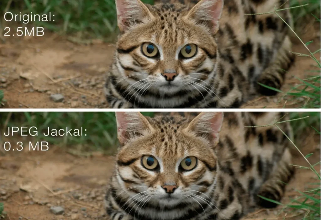 图片[2]-JPEG Jackal for Mac v3.1.0激活版 mac图片压缩软件 - Mac软件免费下载-Mac良选-Mac软件免费下载-Mac良选
