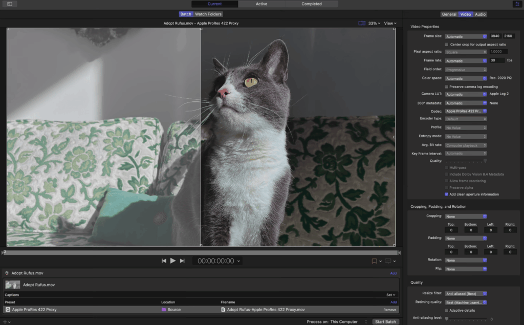图片[3]-Compressor v5.0.0 中文破解版「视频编码格式转换软件」-Mac软件免费下载-Mac良选